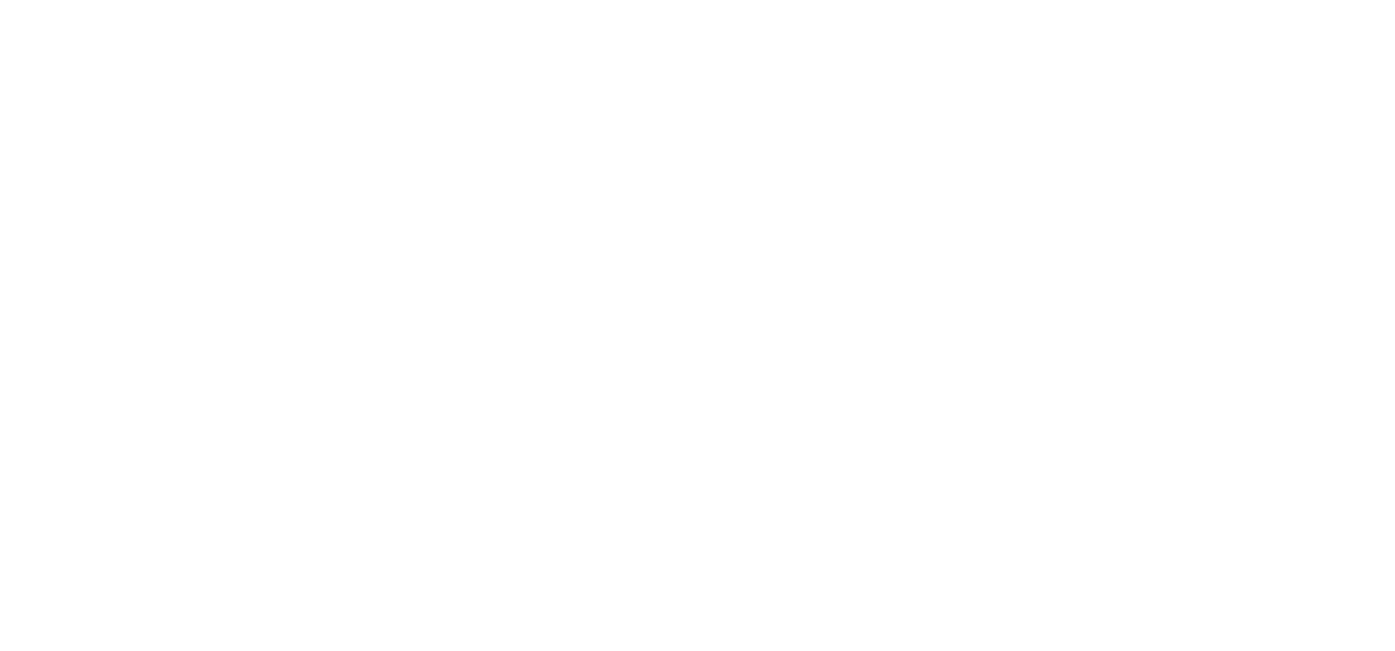 DOMÍNIO FIGHT